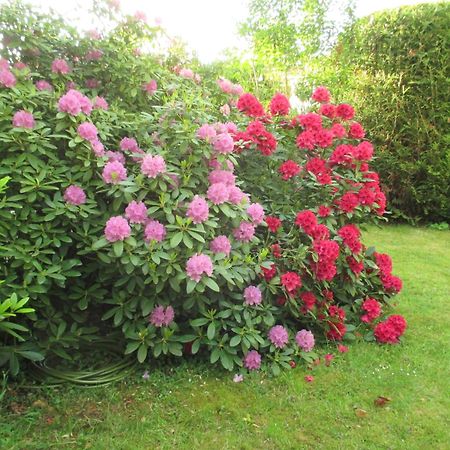 Bures-sur-Yvette Le Cottage - Chambres D'Hotes Paris Saclay מראה חיצוני תמונה