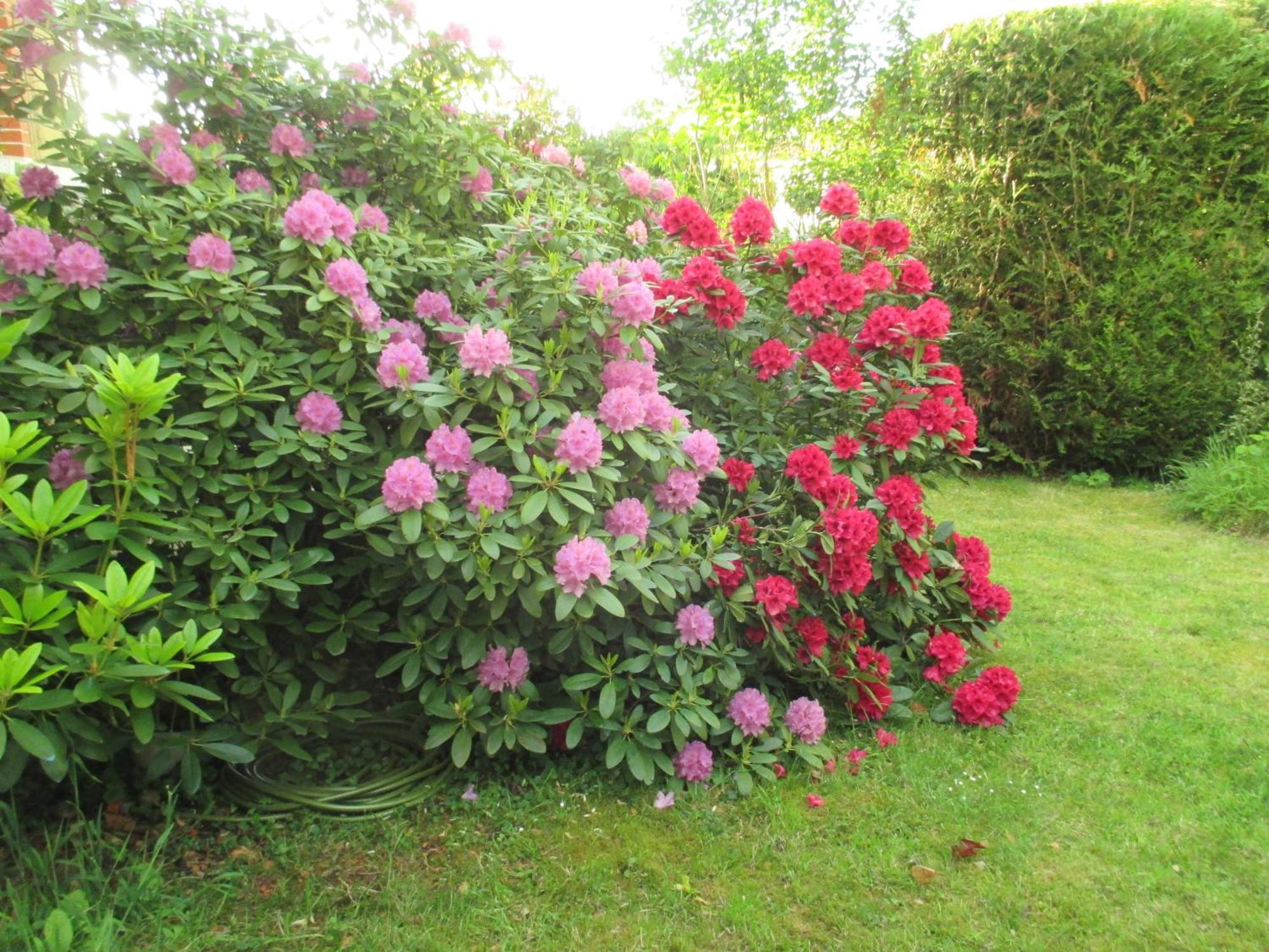 Bures-sur-Yvette Le Cottage - Chambres D'Hotes Paris Saclay מראה חיצוני תמונה
