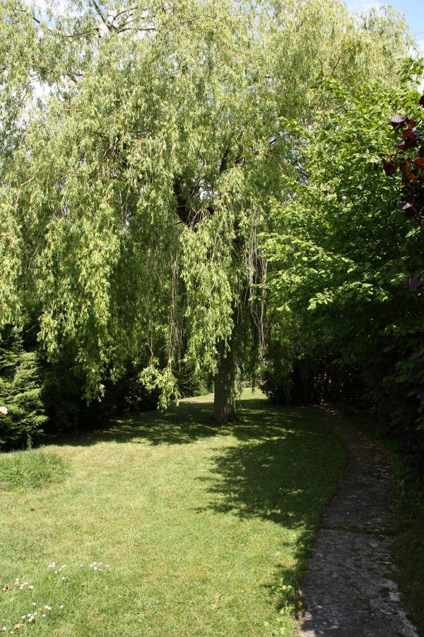 Bures-sur-Yvette Le Cottage - Chambres D'Hotes Paris Saclay מראה חיצוני תמונה